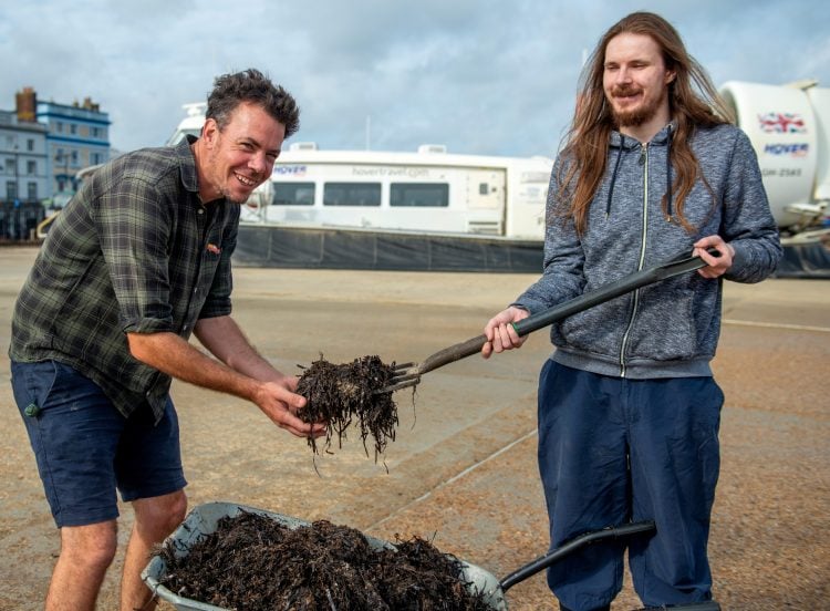 SEAWEED WASHED UP AT RYDE HOVERPORT USED TO GROW ISLAND FRUIT AND VEG