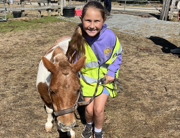 RECORD-BREAKING SUMMER FOR ISLE OF WIGHT DONKEY SANCTUARY AS YOUNGSTERS BENEFIT FROM NEW PROJECT