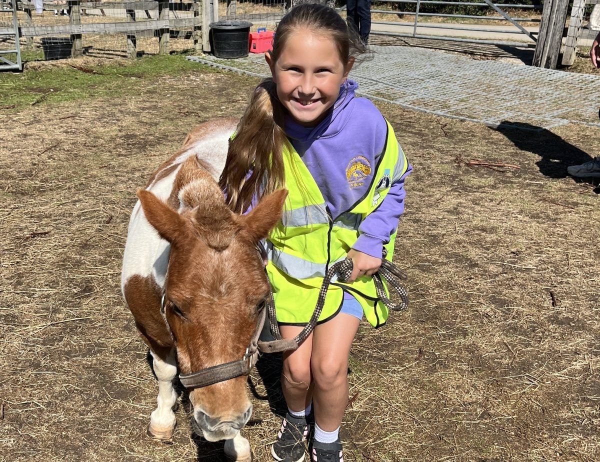 RECORD-BREAKING SUMMER FOR ISLE OF WIGHT DONKEY SANCTUARY AS YOUNGSTERS BENEFIT FROM NEW PROJECT