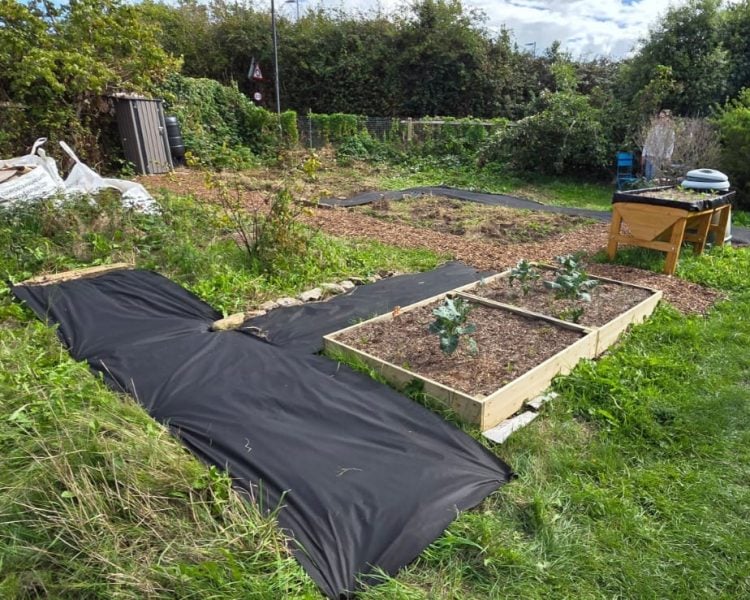 RYDE COMMUNITY ALLOTMENT INVITES RESIDENTS TO GET GROWING