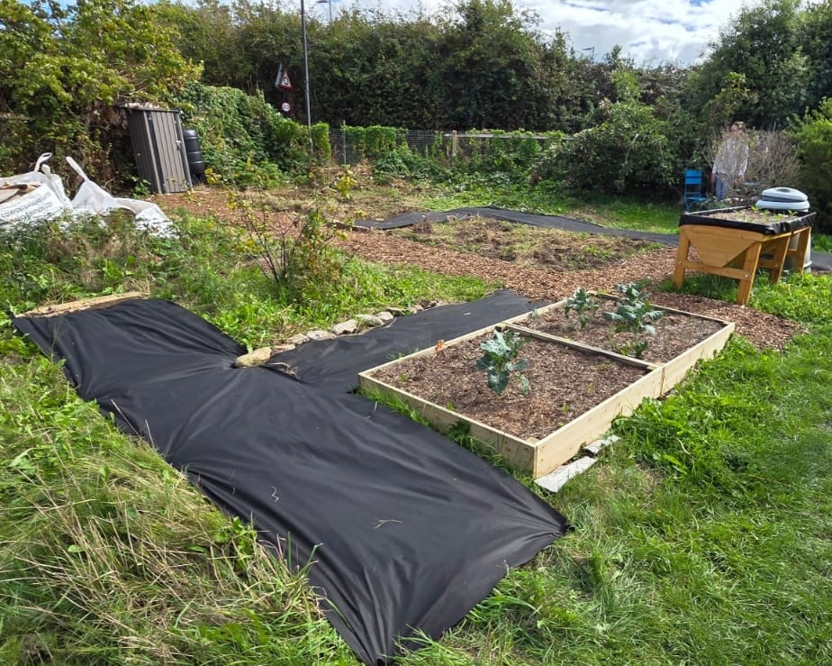 RYDE COMMUNITY ALLOTMENT INVITES RESIDENTS TO GET GROWING