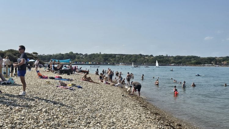 COUNCIL ‘INACTION’ COULD SCUPPER BEMBRIDGE BATHING WATER BID, CAMPAIGNERS WARN