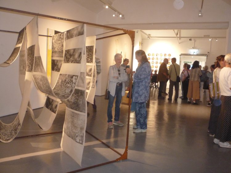 RYDE ART COLLECTIVE SHOWCASES NEW WORK AT QUAY ARTS