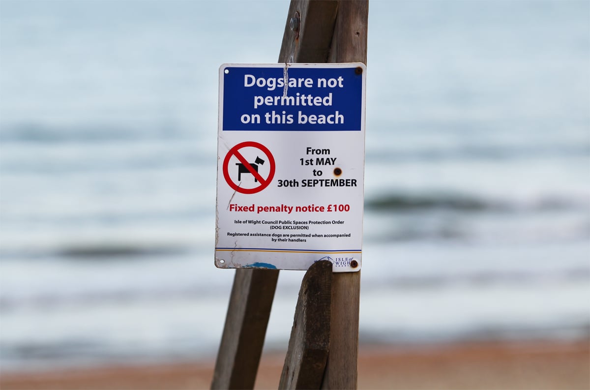 DOG OWNERS REMINDED OF ISLAND-WIDE RULE REQUIRING PETS TO BE KEPT ON LEADS