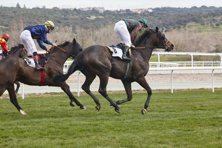 HORSE RACING TRADITIONS THAT CONTINUE TO ATTRACT A NEW GENERATION OF FANS