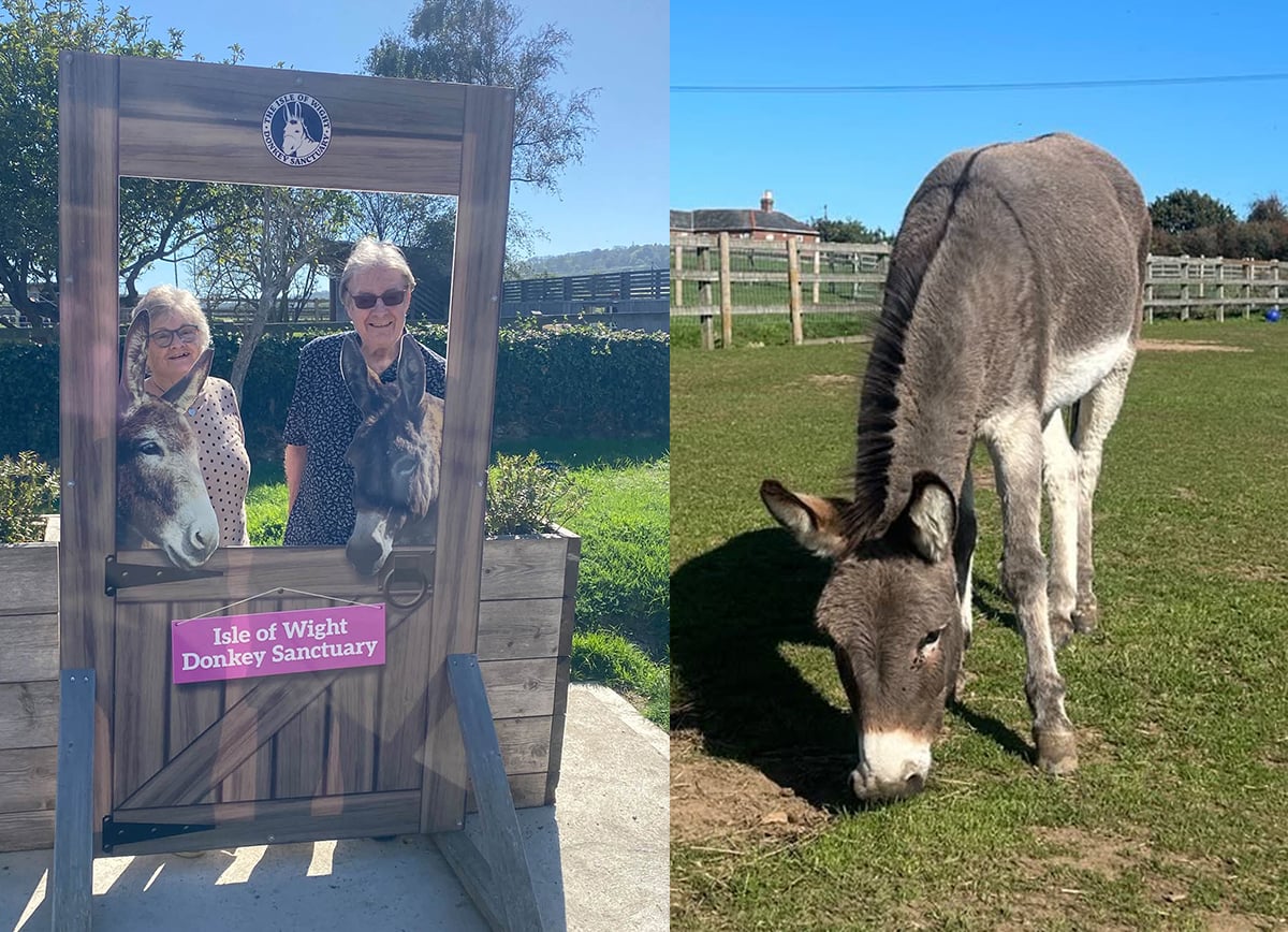 EDDIE AND LOLA FIND NEW FRIENDS AS ORCHARD HOUSE RESIDENTS ADOPT DONKEYS
