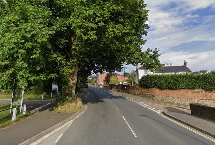 WORKS TO PROLONG TREE’S LIFE TO SEE MAIN ROAD CLOSURE AT WOOTTON