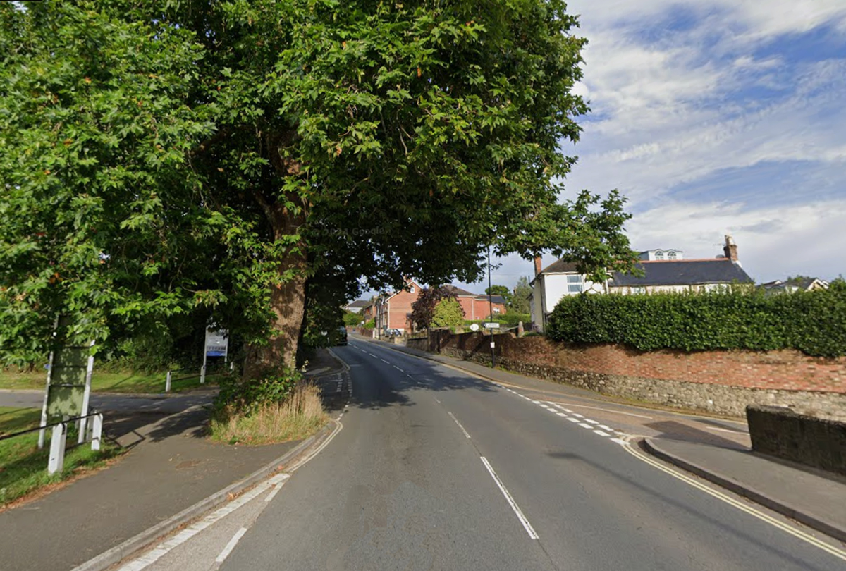 WORKS TO PROLONG TREE’S LIFE TO SEE MAIN ROAD CLOSURE AT WOOTTON