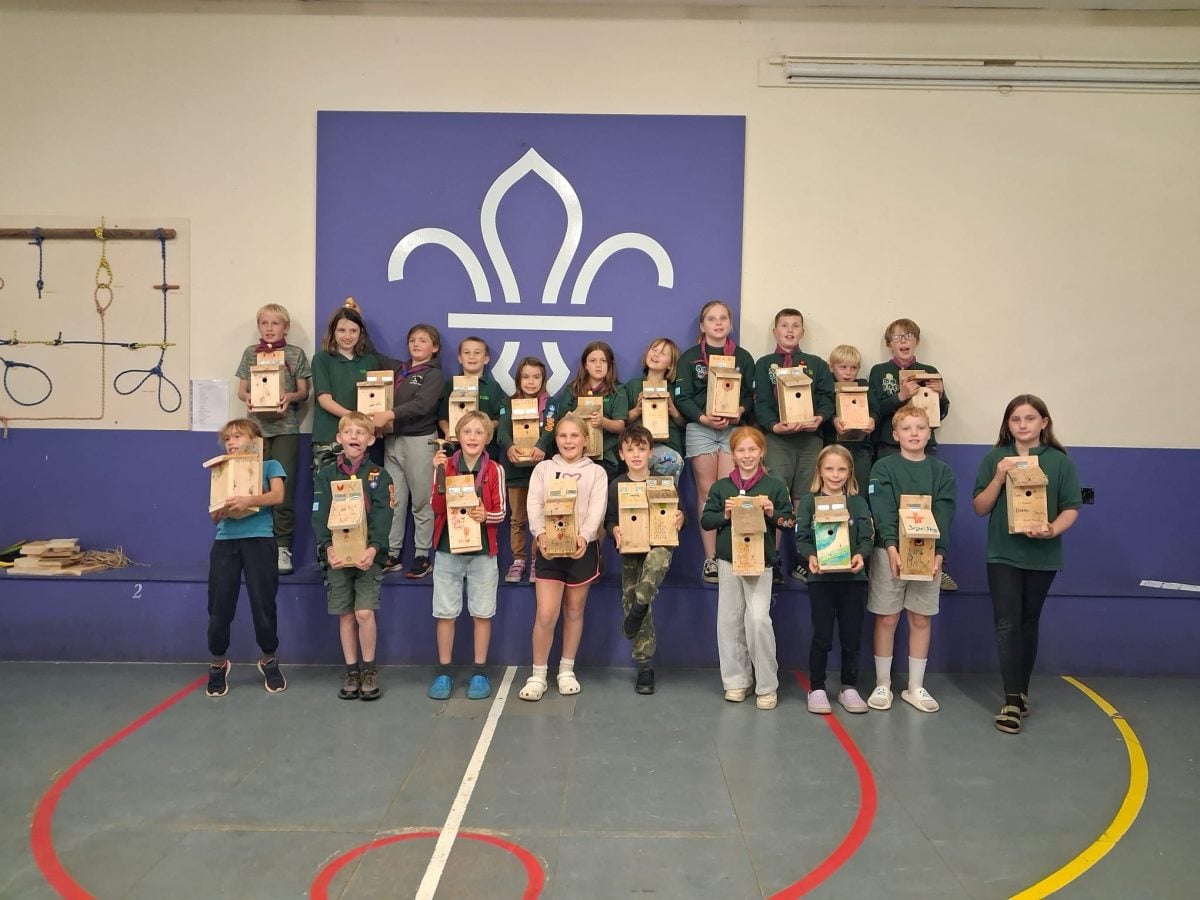GODSHILL SCOUTS BUILD 75 BIRD BOXES FOR JUST £45 IN COMMUNITY WILDLIFE PROJECT