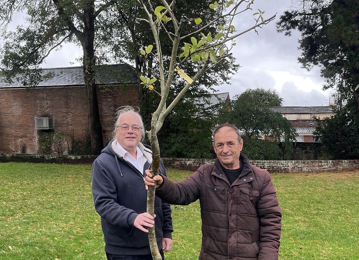 RARE ISLE OF WIGHT APPLE TREE PLANTED IN NEWPORT TO CELEBRATE LOST ORCHARD HERITAGE