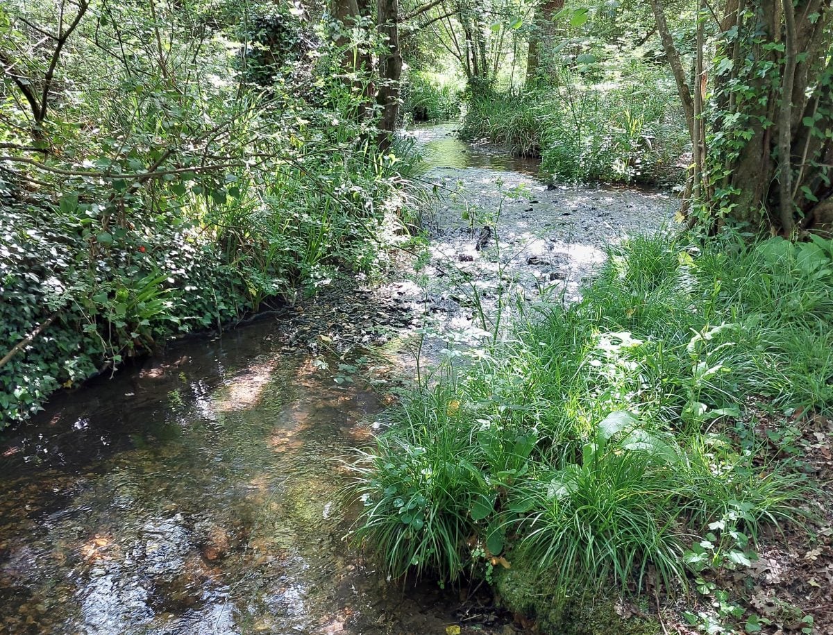 ISLAND RIVERS PARTNERSHIP LAUNCHES PROGRAMME TO BACK CATCHMENT PROJECTS