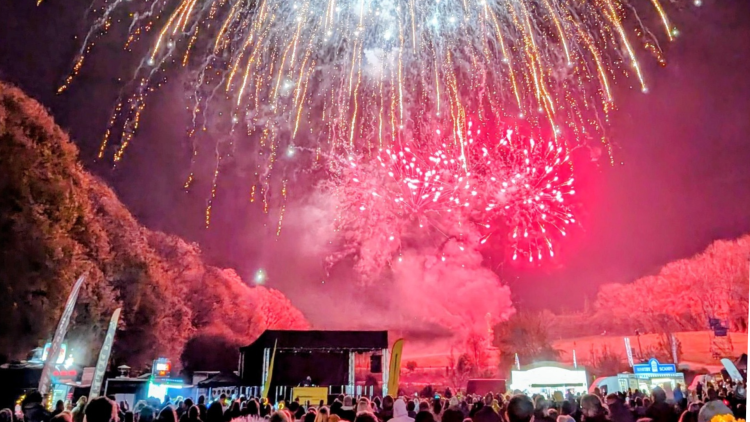 VOTE PEDRO TO HEADLINE MOUNTBATTEN FIREWORKS AT ROBIN HILL THIS NOVEMBER