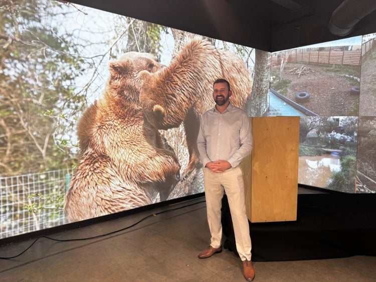 ISLE OF WIGHT BEARS BENJI AND BALU TAKE CENTRE STAGE AT LONDON DESIGN EXHIBITION