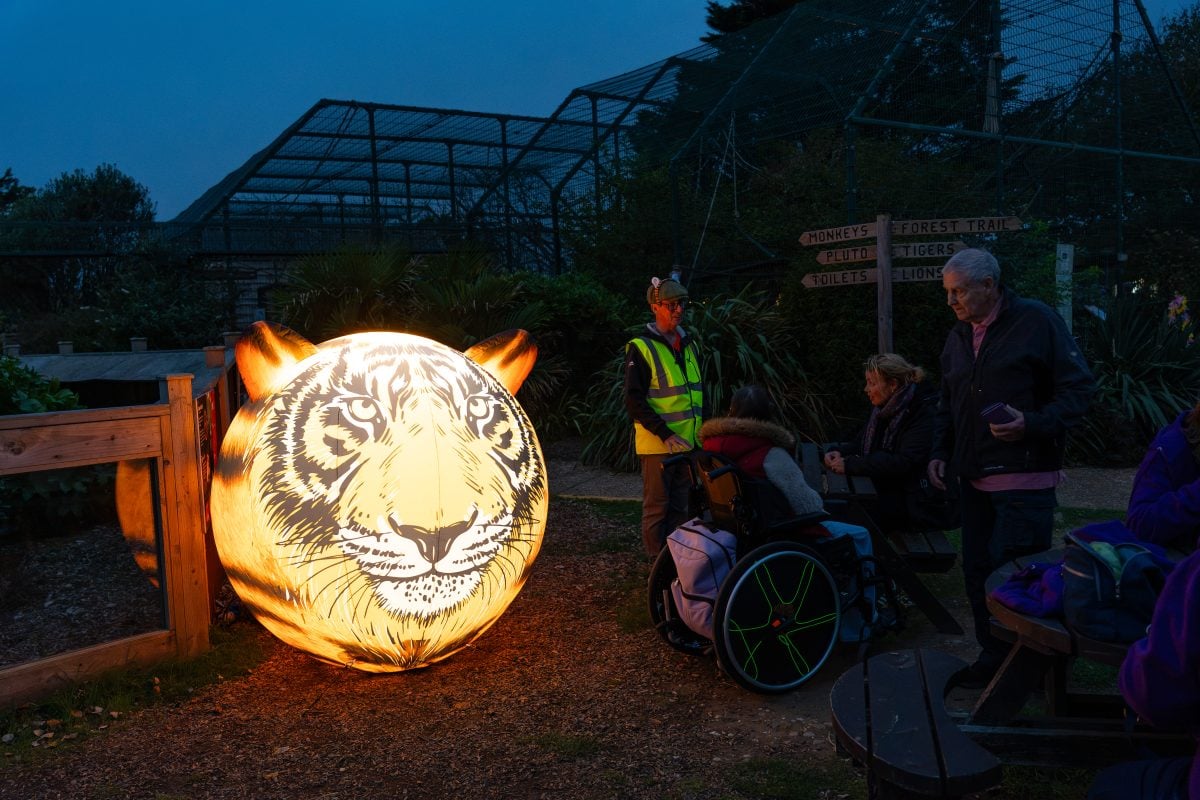 WILDHEART ANIMAL SANCTUARY TO LIGHT UP FOR 2 NIGHTS OF FESTIVE MAGIC THIS CHRISTMAS
