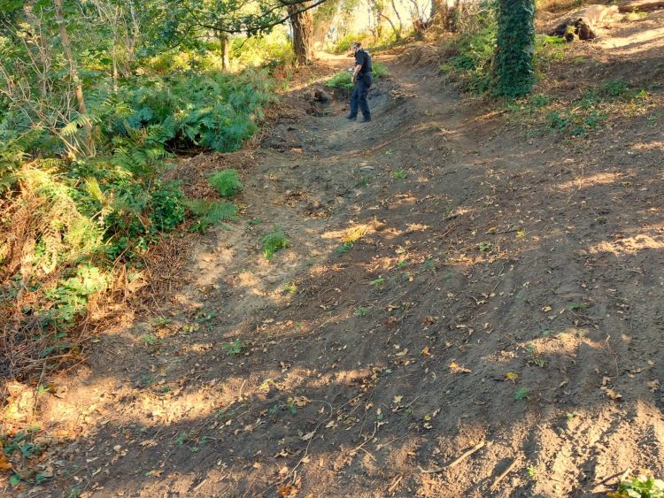 POLICE WARNING AS BIKE JUMPS DISCOVERED IN SHANKLIN’S PROTECTED AMERICA WOOD