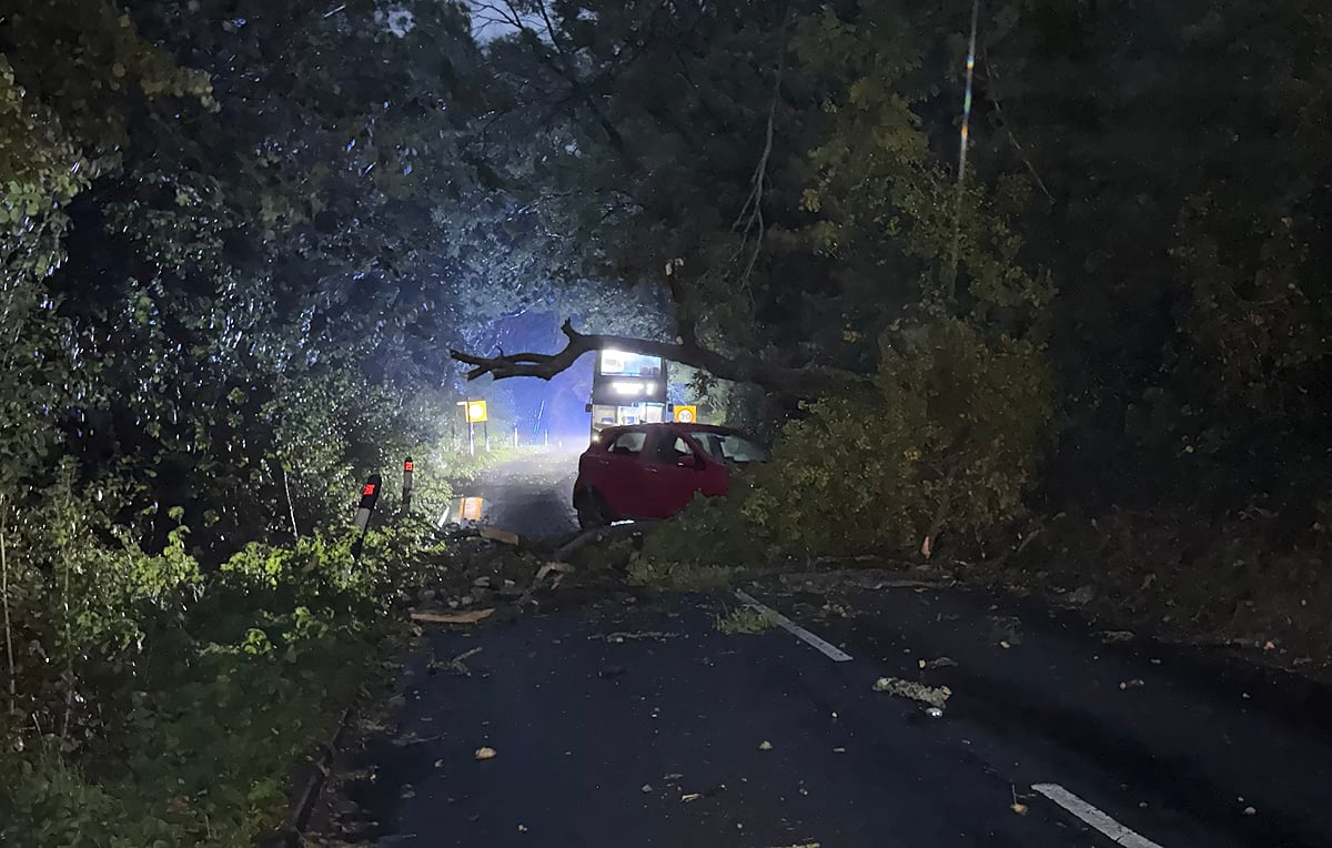 NEAR MISS FOR MOTORIST AS LARGE TREE CRASHES DOWN ON CALBOURNE ROAD