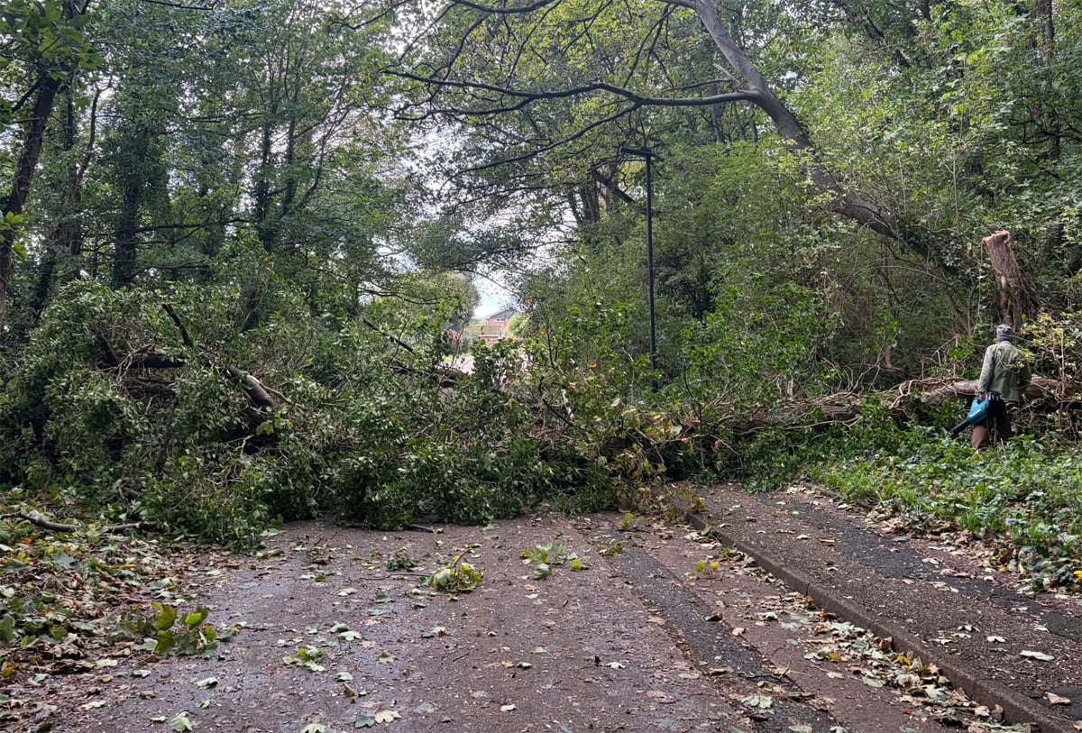 FALLEN TREES AND CROSS-SOLENT DISRUPTION AS STORMY WEATHER HITS ISLAND