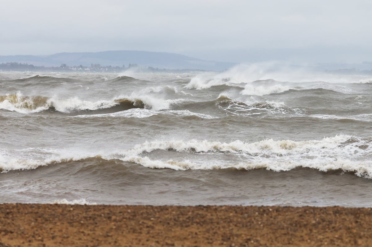 FALLEN TREES AND CROSS-SOLENT DISRUPTION AS STORMY WEATHER HITS ISLAND